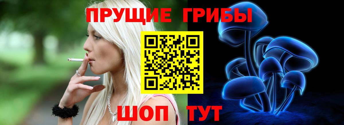 Галлюциногенные грибы мухоморы Саранск